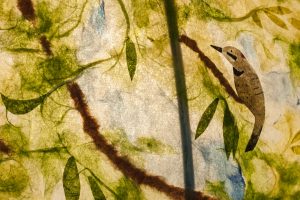 vankleekcu vankleekcu