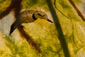 vankleekcu10 vankleekcu10