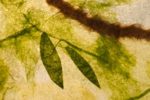 vankleekcu8 vankleekcu8