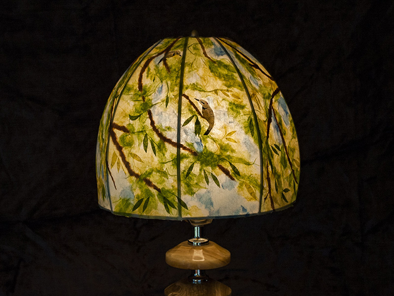 vankleekvue vankleekvue