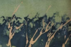 vivaespanacu4 vivaespanacu4