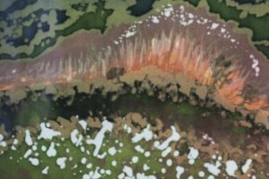 vivaespanacu5 vivaespanacu5